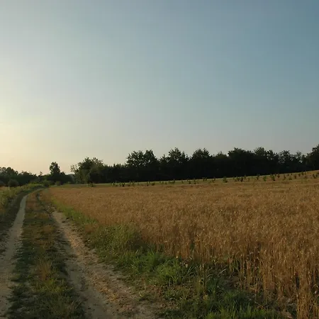 San Matteo